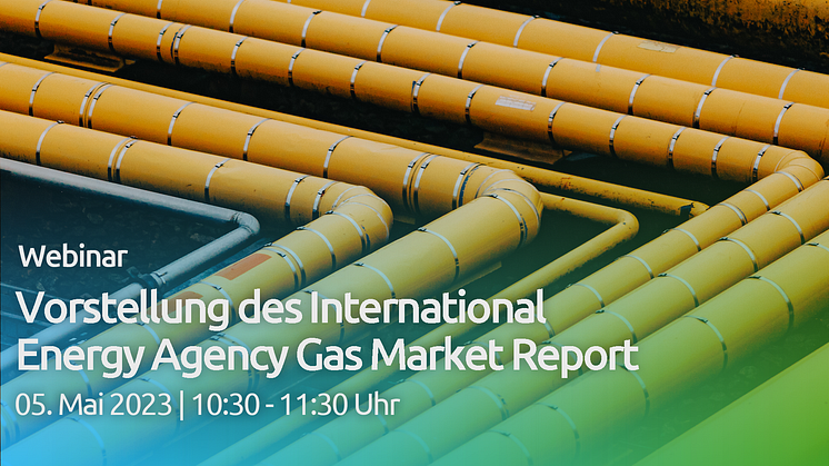 IEA Webinar Zoom