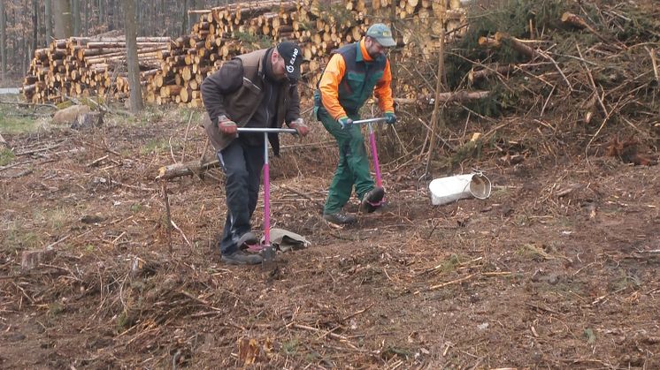 Neue Bäume für Dolgowitz am Rotstein