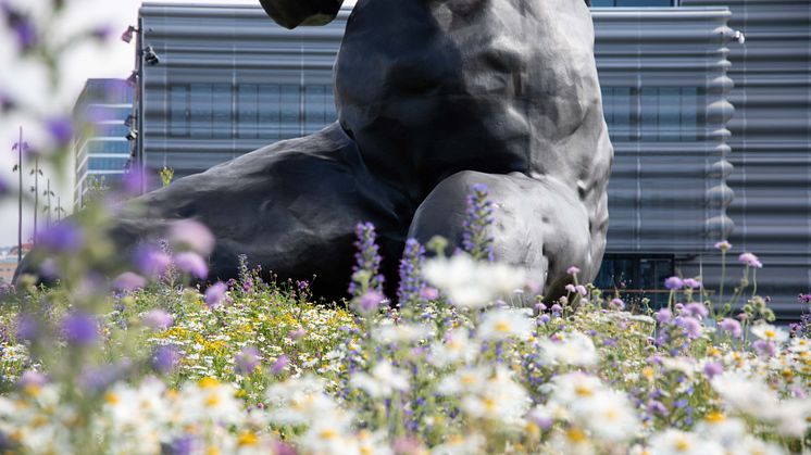 Moren i blomsterenga ved MUNCH3