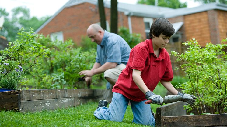 EXPERT COMMENT: How community gardening could ease your climate concerns