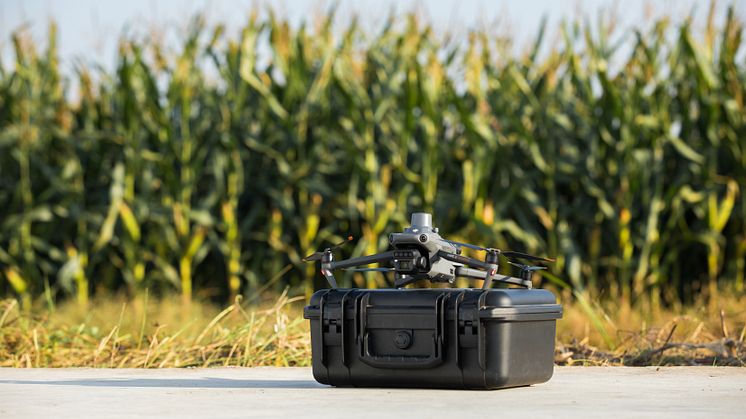DJI_M3M 5.jpg