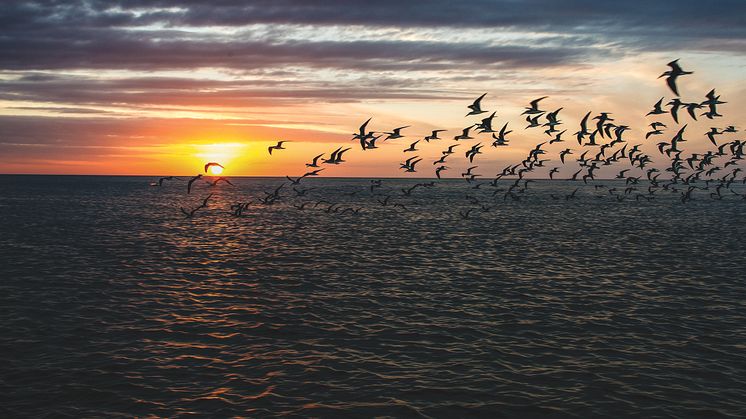 shutterstock_108770144-up125