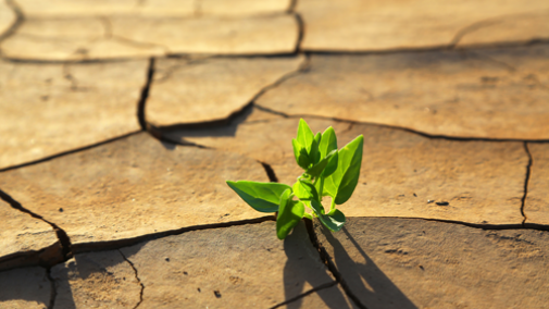 The Challenge of Climate Change: How large is it and can we meet it? 