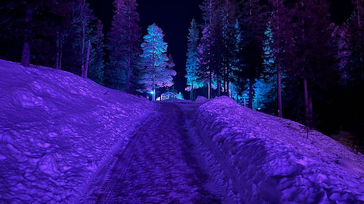 SkiStar IGLOO-Glamping
