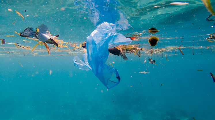 Vem vill bada bland plastpåsar, godispapper och fimpar?