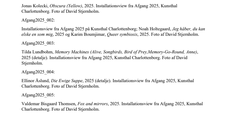 Afgang2025_Photo by David Stjernholm.pdf