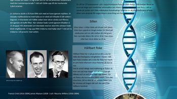 Norgårdensskolan bäst i Sverige på DNA-jakten