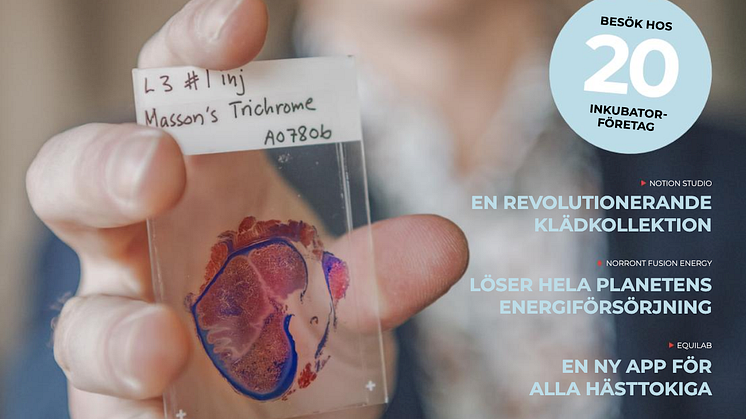 West Swedish Incubators Magazine - spännande artiklar om innovationer och entreprenörer i Västra Götalandsregionen