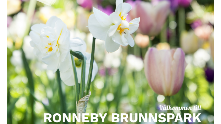 Ronneby Brunnsparks historia i korthet