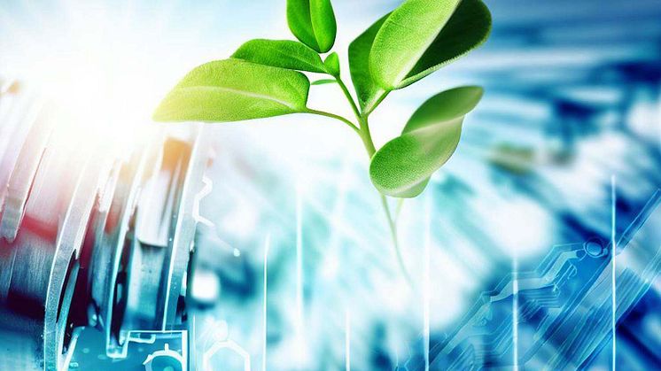 Innovation und Management: Der Schlüssel zu Wertschöpfung und Kreativität in Unternehmen