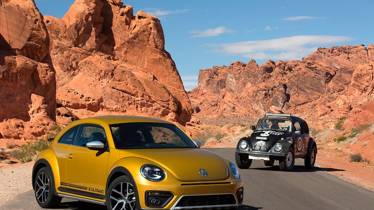 Beetle Dune