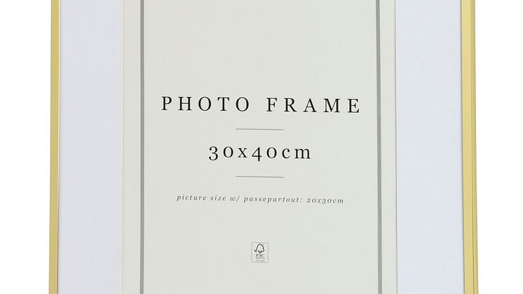 NYHET! Frame Tom 30x40 cm Gold 9,99  EUR.jpg