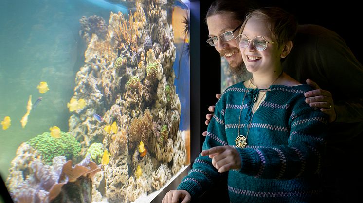 Sjöfartsmuseet Akvariet: nya akvariehallen