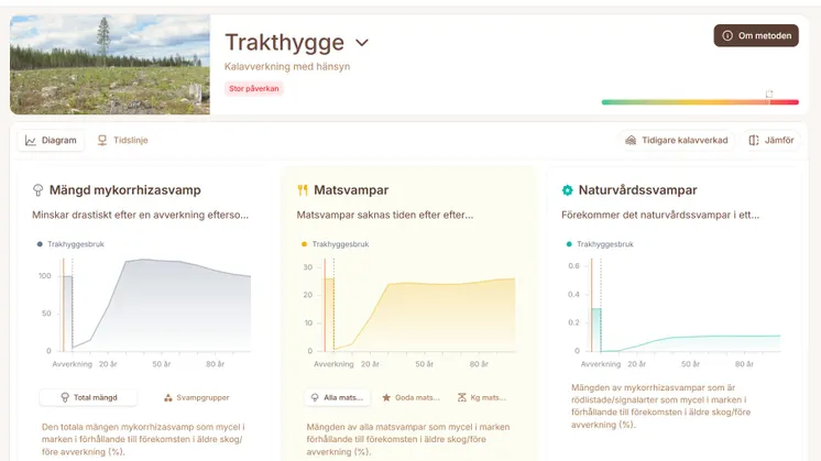 Trakthygge