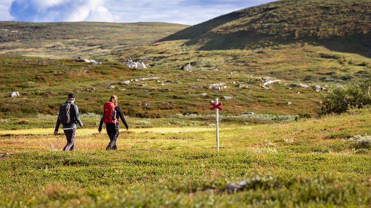Vandring i Ramundberget