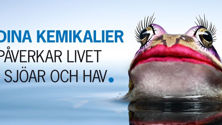 25 år med påverkan av stockholmarnas miljöbeteende