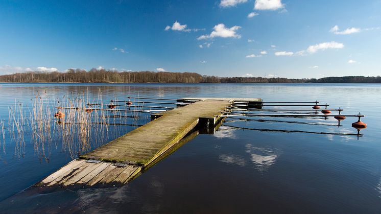 Snogeholm strövområde