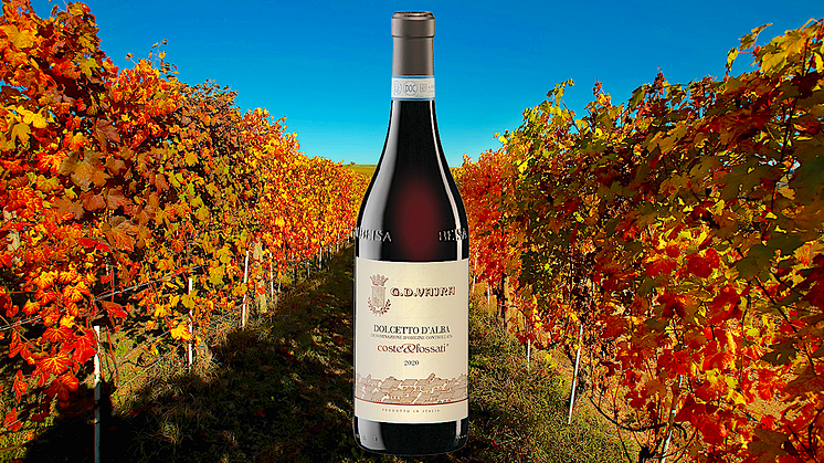 Seriös Dolcetto från G.D. Vajra släpps den 9 september