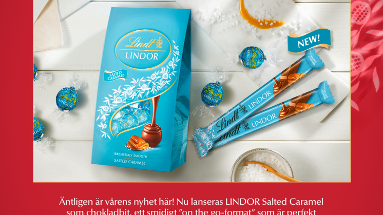 NEW Lindor Salted Caramel Stick.pdf