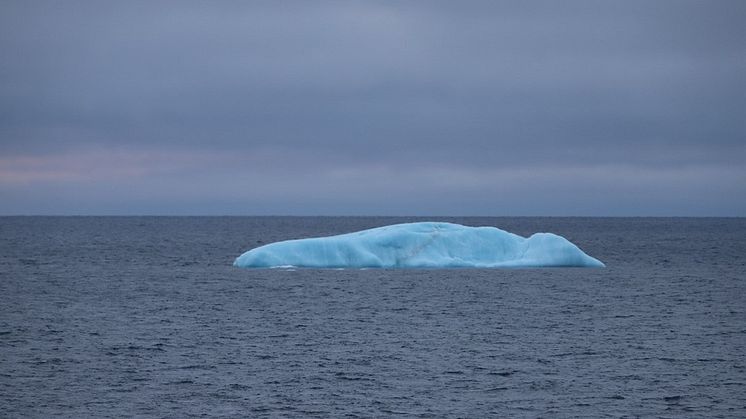 Iceberg in St. Anna