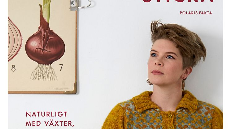 Omslag_Anna Bauer Färga garn och sticka _21.jpg