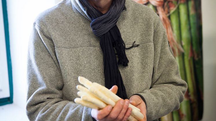 Premiär! Idag skördades svensk vit sparris på gotländska Smide Gård