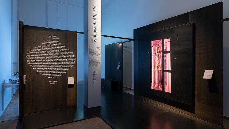 Till Rabus, Automate á fleurs, 2009. Barbara Adam, Rhythmicity of the World in Us, 2021