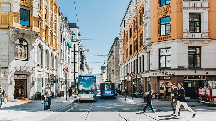 Trikkeprogrammet