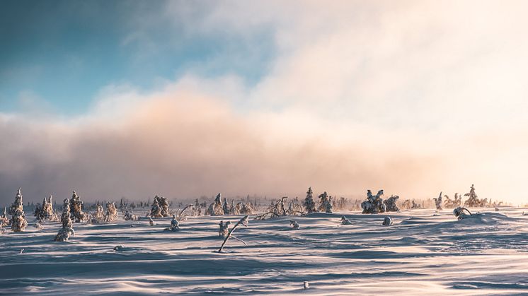 Bristen på laddinfrastruktur riskerar att hämma omställningen