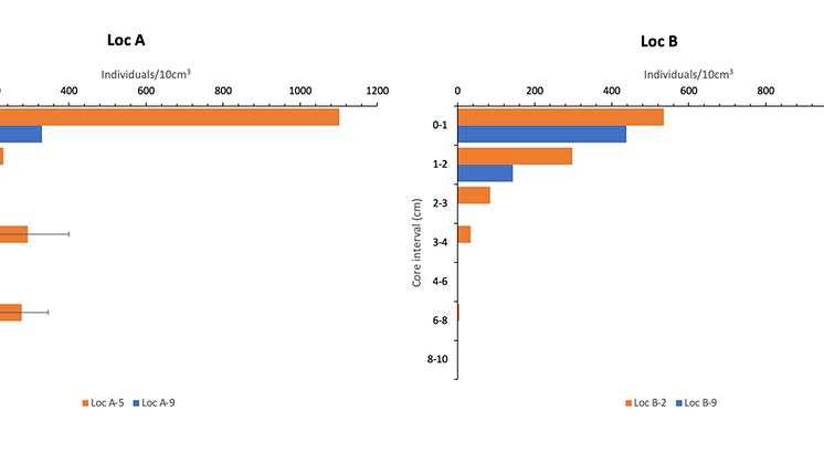 Marine litter data