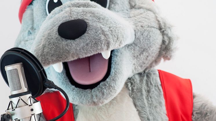Stöten i Sälen - Aoo – vad säger Vargy till dig?