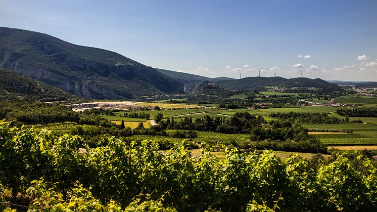 monte-zovo-estate