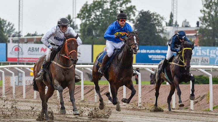 HM Mastare galopp