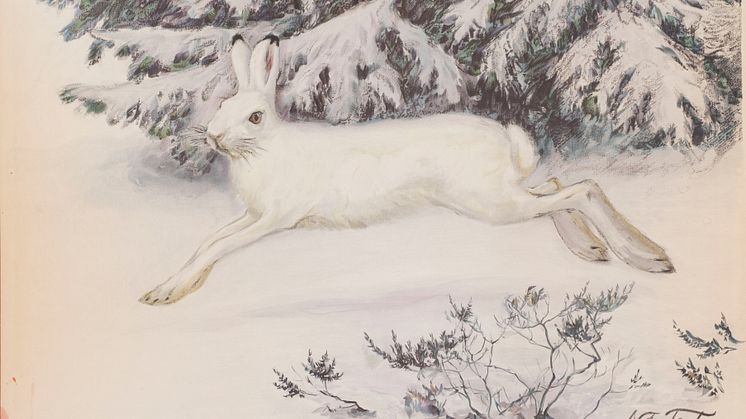 Skolplansch med hare. Konstnär: Nils Tirén. Foto: Malmö Museer.