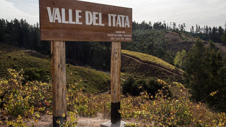 Itata Valley