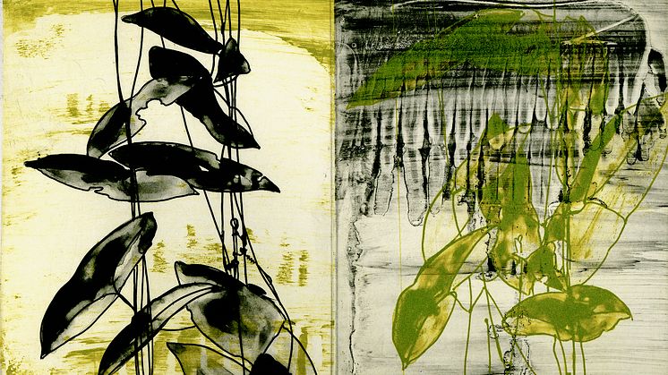 Alexandra Kern, The Plants I