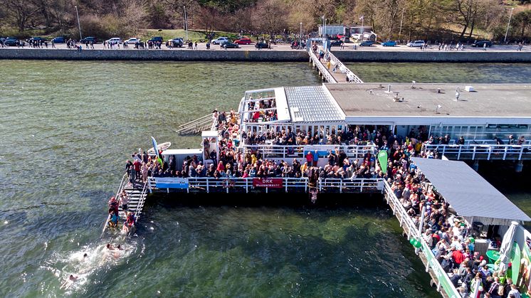 Viele Wagemutige trauen es sich, bei frühlingshaften Temperaturen in der Kieler Förde zu schwimmen. 