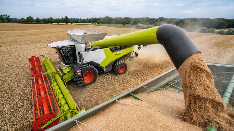 LEXION combine harvester
