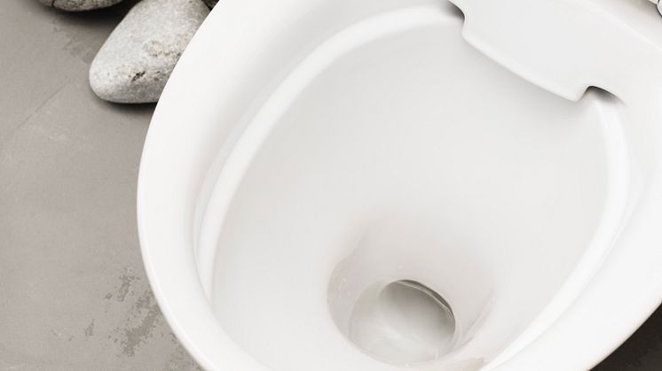 Se upp! Det gör gästen i badrummet