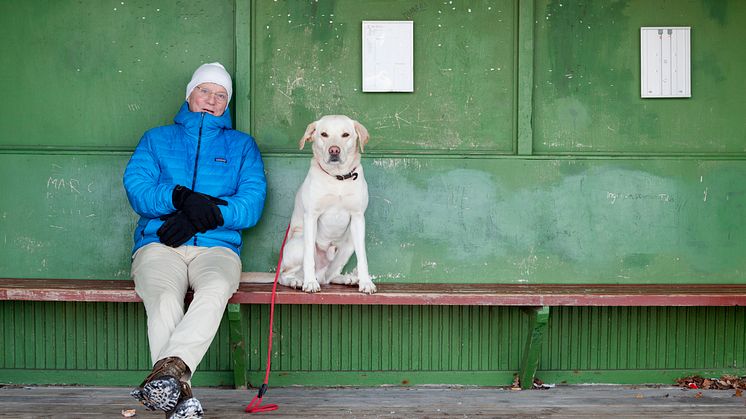 Hundägare inte friskare än andra vid typ 2-diabetes