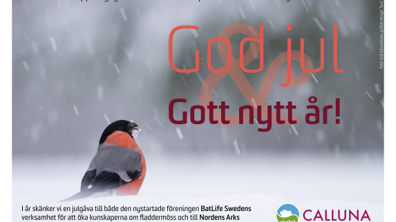 Julkort_2019_CallunaAB.png