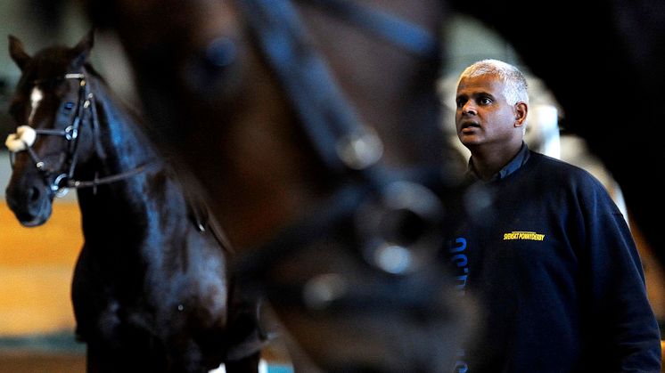 Tomas Hammar, Show Director Helsingborg Horse Week 2015