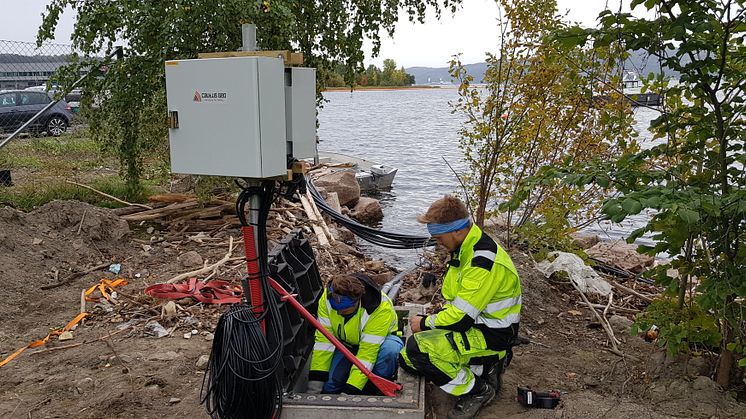Data mates inn i Cautus Web i sanntid