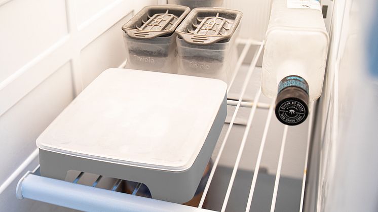 22015-201_Bottle-Ice-Molds_Oyster-Gray_IN-FREEZER.jpg