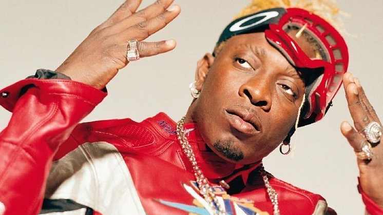 Elephant Man, Capleton och Ce’Cile till Furuvik Reggaefestival
