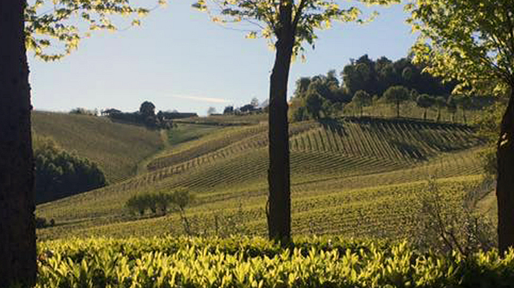 la-toretta-paesaggio1.jpg-1170x435