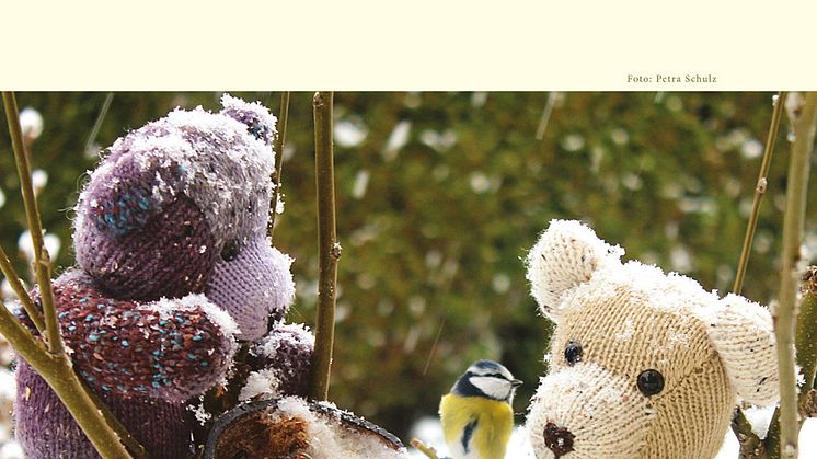 Bärenherz-Kalender für 2016 verfügbar