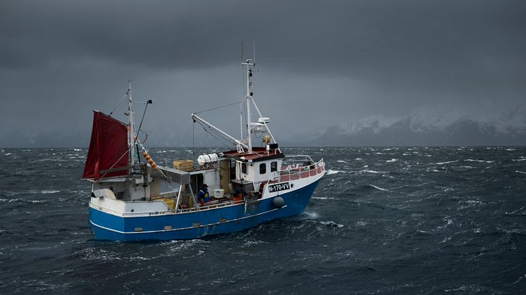 Nytt prosjekt skal gi kvalitetsløft i fiskerinæringen