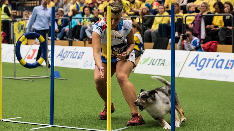 AWC2018MediumSunday34.jpg