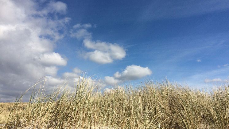Eher der ruhige Typ oder immer in Action? Der neue Blog von Maritim verrät für jeden die richtigen Reisetipps - von den schönsten Ostsee-Stränden bis hin zu den "Hotspots" beim aufregenden City-Trip nach Berlin.